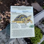 Gehegeschild Griechische Landschildkröte auf Alu-Dibond in 15x20 cm gedruckt
